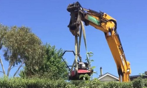 Ovako to izgleda kad građevinci šišaju živicu