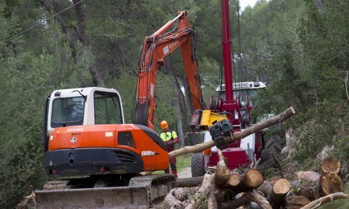 Policija na Marjanu obavila očevid oko sječe stabala