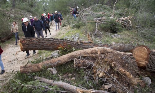 Marjanovci pisali Plenkoviću tražeći da zaustavi sulude Oparine projekte