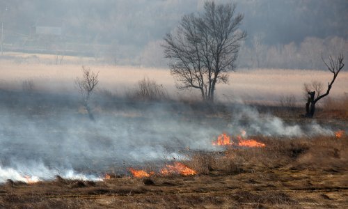 Pazite kako palite korov, u samo jednoj županiji 13 požara
