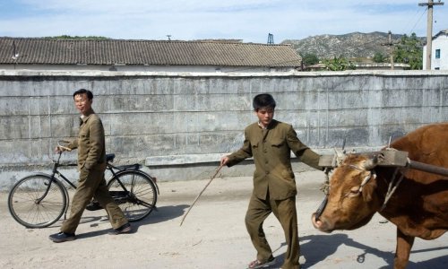 Humanitarne organizacije upozorile na porast pothranjenosti i bolesti u Sjevernoj Koreji