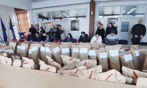 Rekordna zapljena: pali krijumčari s 500 kilograma droge