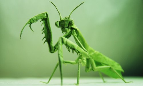 Vijetnamski umjetnik izrađuje čudesne origamije