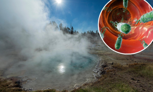 Znanstvenici otkrili bakterije koje proždiru onečišćenja i ispuštaju električnu energiju