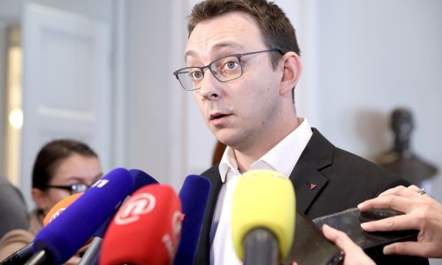 Glavašević ipak na listi Dalije Orešković za EU izbore