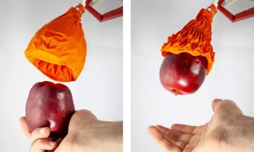 Ovaj robot može dići teret sto puta teži od njega i dovoljno je pažljiv da ne ošteti jabuku