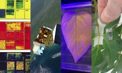 Biljke koje šalju poruke kad su žedne i druge ratarske tehnologije iz svemirskih programa