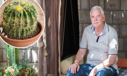 Životna borba Oka sokolovog; Mateo Beusan zbog kaktusa bio na rubu smrti