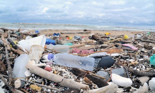 Zeleni: Ovo je naša 'mala pobjeda' u borbi protiv zagađenja europskih mora