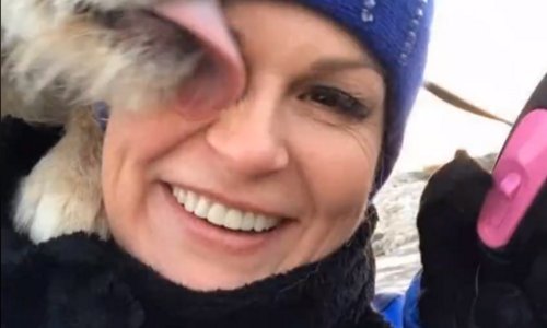 Predsjednički pas Kika slavi prvi rođendan, emotivnim videom obilježila ga je i Kolinda Grabar - Kitarović