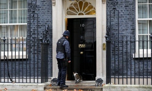 Francuska ministrica mačku nazvala 'Brexit'