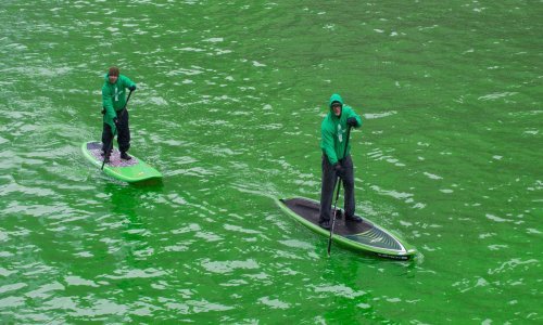 Florida je za Dan sv. Patricka svoju rijeku obojala u zeleno