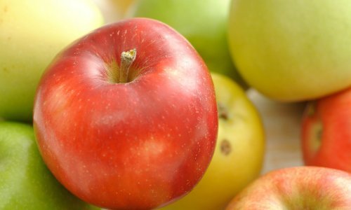 Očekuje se dobar urod voća, ali i rast cijena