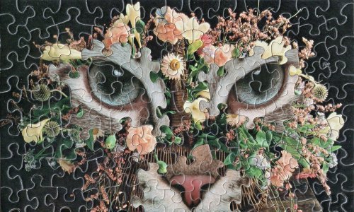 Amerikanac od različitih slagalica stvara neobičnu umjetnost