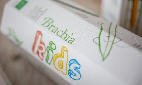 Ovako su Bračani odlučili približiti maslinovo ulje djeci