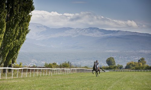 Tvrtka iz Dubaija raspisala natječaj za toranj na Hipodromu. Arhitekti: To je protivno GUP-u