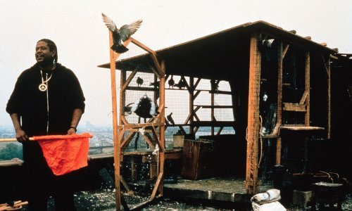 Kinoteka donosi uzbudljiv program filmova Wendersa i Jarmuscha