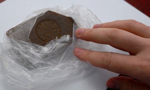 Na Bajakovu zaplijenjeno 120 kilograma hašiša i litra hašišova ulja