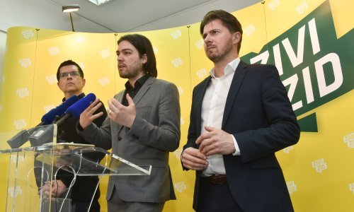 Glavne točke programa Živog zida za Europski parlament su zaštita sela te borba protiv korupcije i GMO-a