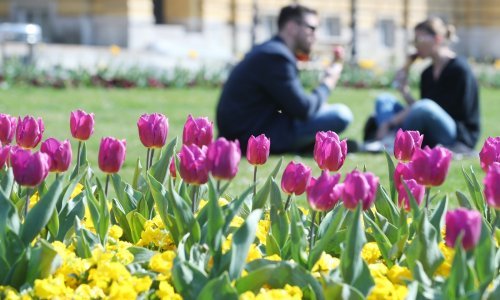 Pretežno sunčano, ali u pojedinim dijelovima zemlje mogući su pljuskovi i grmljavina