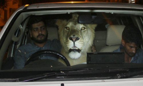 Ovi Pakistanci ne trebaju alarm za svoje vozilo