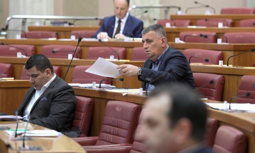 Mostov prijedlog zakona o samoopskrbi električnom energijom vladi nije dovoljno kvalitetan