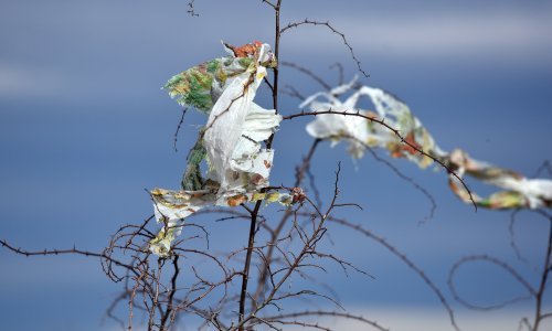 Njemačka će zabraniti plastične vrećice, dogovor s trgovcima nije zadovoljio