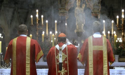 Procesije, mise i blagoslovi: pogledajte kako su vjernici obilježili blagdan Cvjetnice