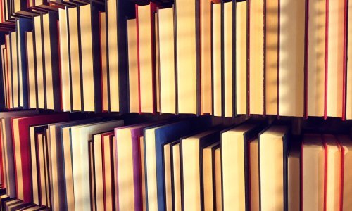 Društvo hrvatskih književnika daje novac za organizaciju kulturnih  aktivnosti