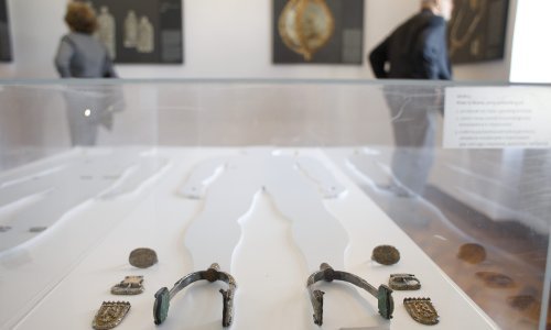 Otkrića s Bojne ukazuju na postojanje snažnog političkog središta na području današnje Banovine