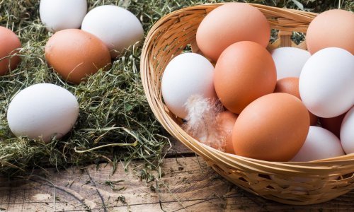 Planirate oslikavati pisanice? Evo kako možete izbijeliti jaja u svega nekoliko minuta