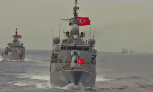 [VIDEO] Grčki biolozi okrivli tursku ratnu mornaricu za pomor dupina u Egejskom moru