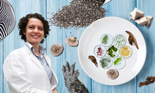 Krokodili, insekti i druge poslastice: Stručnjakinja objašnjava što je nova hrana i kako nam dolazi na stolove