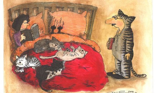 Kako karikaturisti iz čitavog svijeta vide muško-ženske odnose