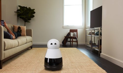 Budućnost? Roboti! Roboti posvuda!