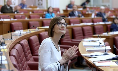 Sabor raspravlja o odnosima s Hrvatima van države, evo brojki o financiranju