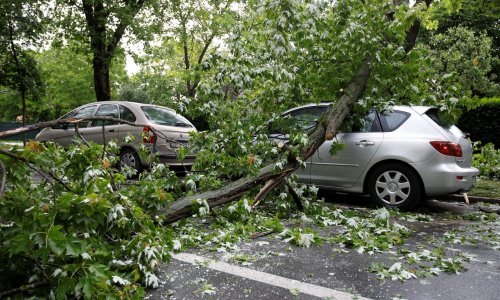 Stablo je palo na vaš automobil i oštetilo ga? Provjerili smo što vam je činiti