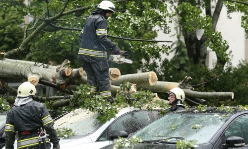 [FOTO] U Sopotu stabla uništila nekoliko automobila