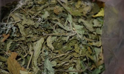 Uhićen diler s više od pola kilograma marihuane