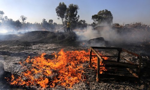 Šumski požari u Izraelu, temperatura gotovo 50 stupnjeva