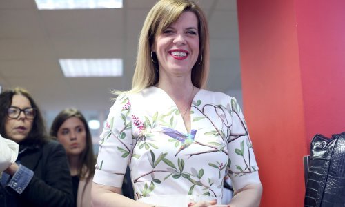 Borzan: Na loš rezultat HDZ-a utjecao je niz afera i loše posložena lista