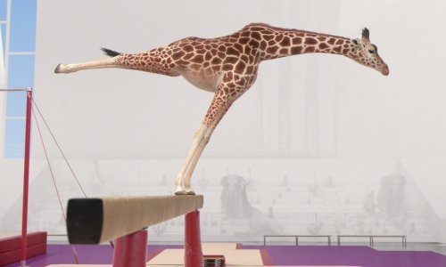 Što Animafest ove godine donosi u programu za djecu i mlade