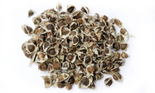 Ovo su najpoželjnije supernamirnice budućnosti koje osim što su jako zdrave, štite i okoliš