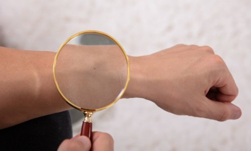 Internet pronašao novu stvar oko koje gubi pamet