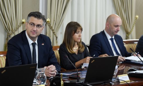 Evo koje su još županije i gradovi zatražili pomoć Vlade zbog najezde komaraca