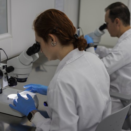 DNK iz masovne grobnice otkrio patogene koji su uništili Napoleonovu vojsku