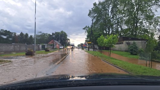 padala i tuča