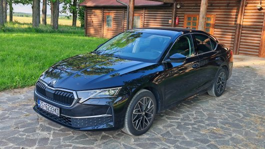 test automobila