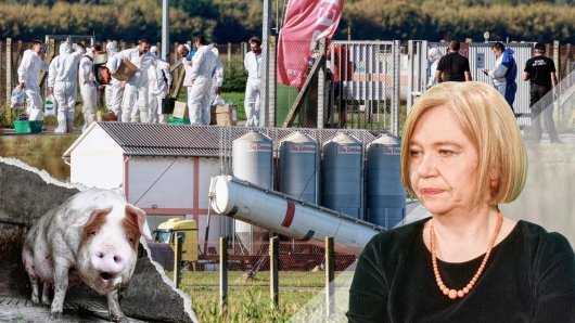 Zvjezdana Blažić smatra kako će najveće posljedice izbijanaj zaraze trpjeti proizvođači i lokalne zajednice