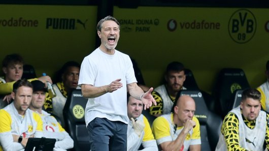 LIGA PRVAKA
